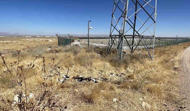 İsveç Prensesi Victoria'nın adını verdiği leylek Karaman'da ölü bulundu