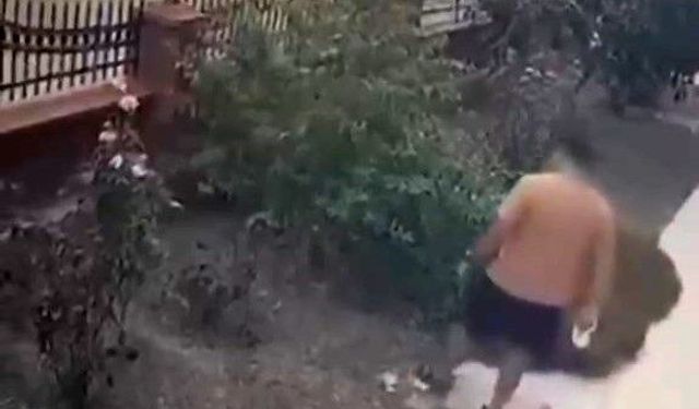 İzmir'de yavrulu kediye tekme atan saldırgan yakalandı