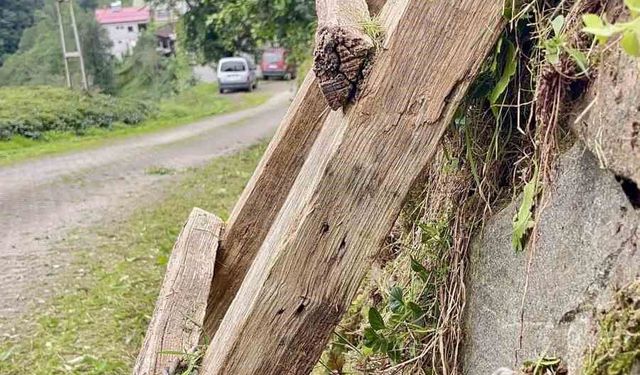 Merdiven hırsızlığına 'Karadeniz usulü' çözüm: Duvarı deldi, merdiveni zincirledi