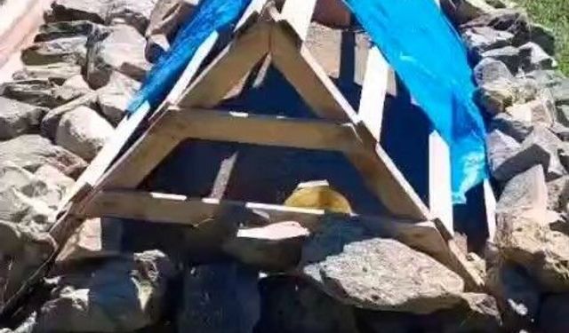 Mezarı ayıdan korumak için köpek sesi çıkaran düzenek yerleştirildi