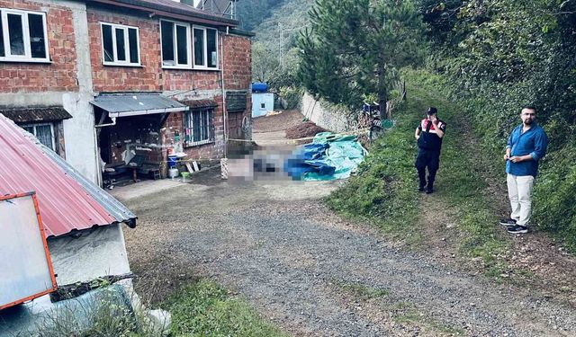 Ordu'da kardeşler arasındaki arazi ve yol kavgası kanlı bitti: 1 ölü, 1 yaralı