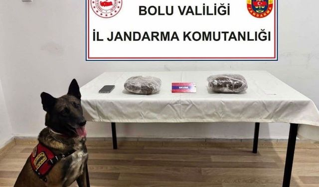 TEM'de yolcu otobüsünde 810 gram esrar ele geçirildi; 1 tutuklama