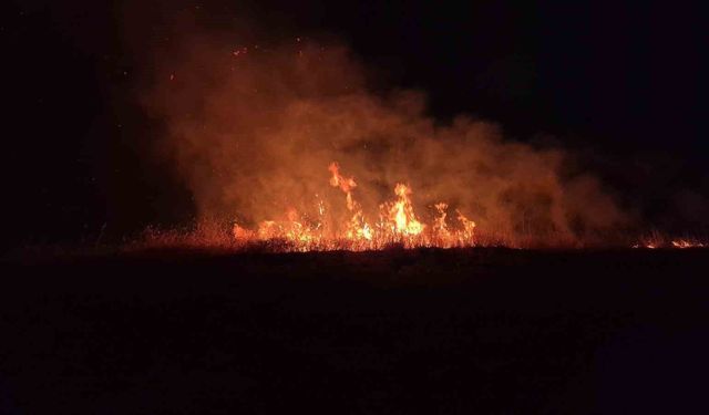 Adıyaman'da korkutan anız yangını