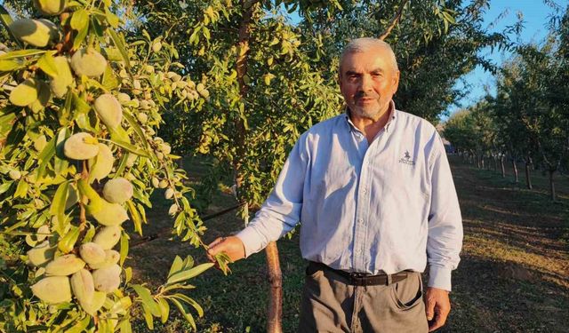 Almanya'da doktoru bahçe işleriyle uğraşmasını önerdi, o memleketine dönüp üretici oldu