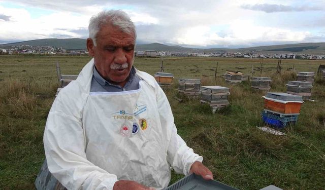 Arılı kovanların ilkbahara sağlıklı çıkması için varroa mücadelesi büyük önem taşıyor
