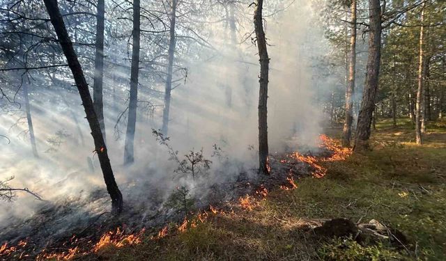 Karabük'te örtü yangını büyümeden söndürüldü