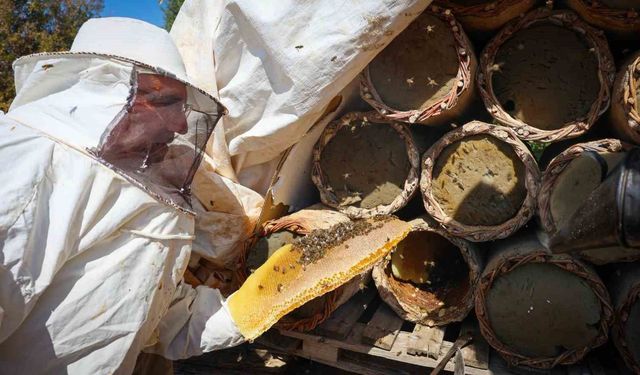 Malatya'da 60 yıllık gelenek toprak kovanlarda yaşatılıyor