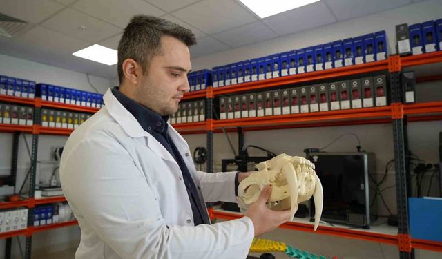 OMÜ'de hayvanların anatomik yapıları üç boyutlu yazıcıyla üretiliyor, eğitimde kullanılıyor