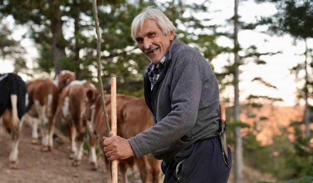 Yaylada vargit çiçekleri açtı, dönüş yolculuğu başladı