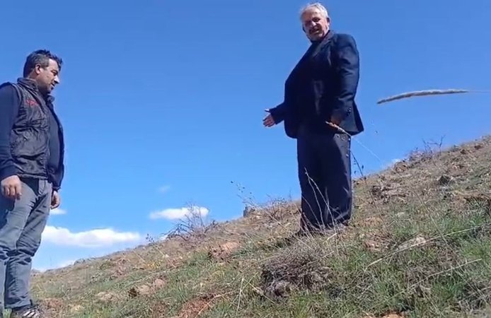 Ters laleyi koparmanın cezası 700 bin TL