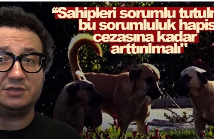 Oytun Erbaş: Köpek Sahiplerine Hapis Cezasına Kadar Sorumluluk Getirilmeli