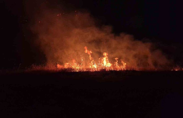 Adıyaman'da korkutan anız yangını