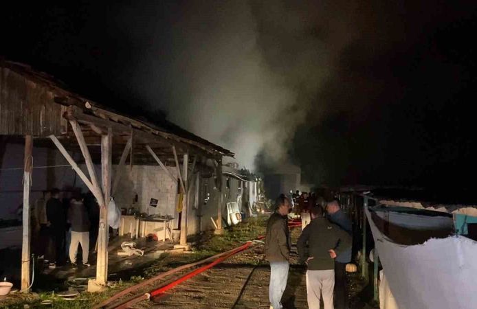 Bursa'da hayvan çiftliği alevlere teslim oldu