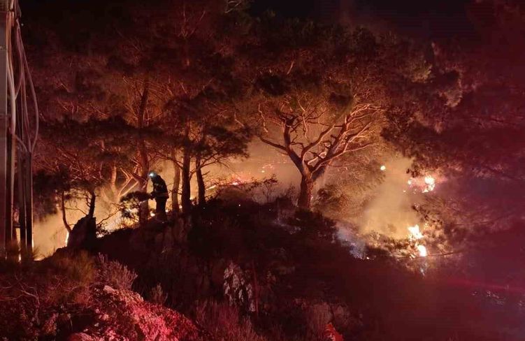 Bodrum'da ormanlık alanda yangın: 2 dönüm alan zarar gördü