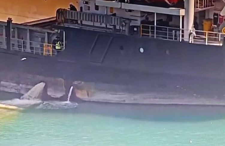 Mersin'de denizi kirleten gemiye 13 milyon TL ceza kesildi, gemi rıhtıma bağlandı