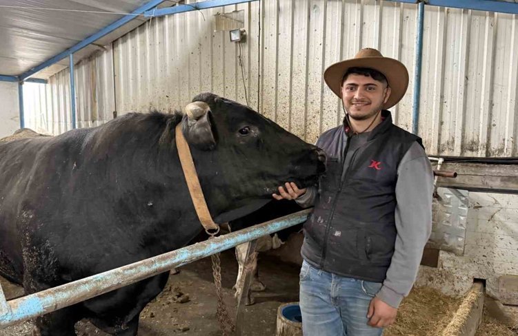 Aksiliklerinden kantara çıkamıyorlar: 4 yaşındaki dev tosunları gören bir daha bakıyor