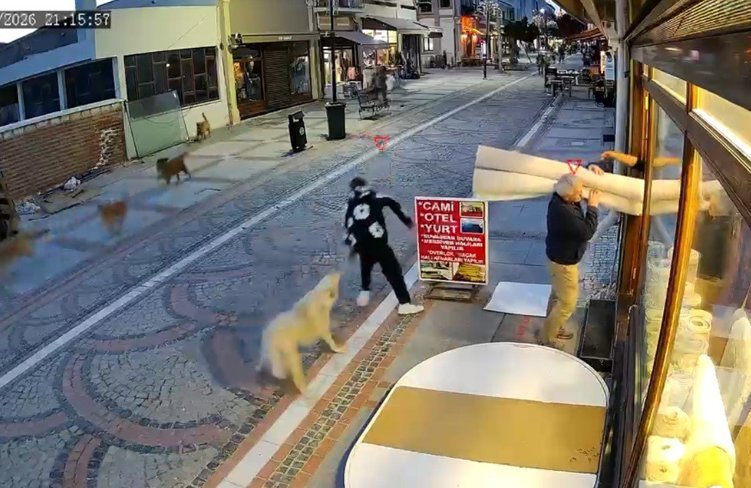 Edirne'de başıboş köpek saldırısı: 19 yaşındaki genç yaralandı