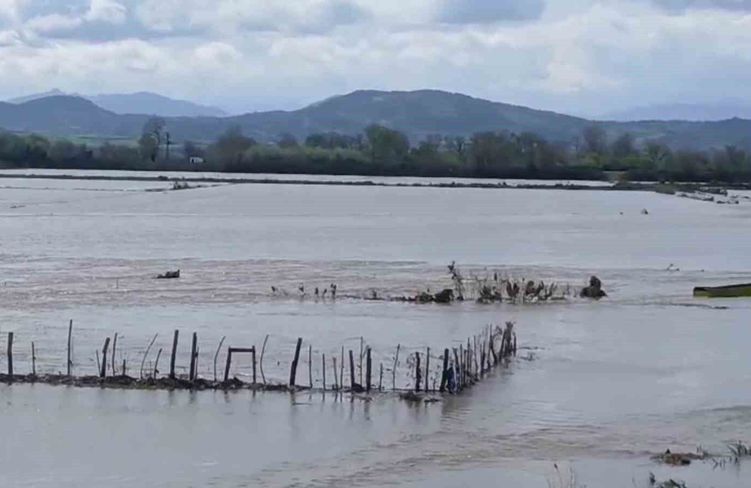 Meriç Nehri taştı, sular yollara ulaştı