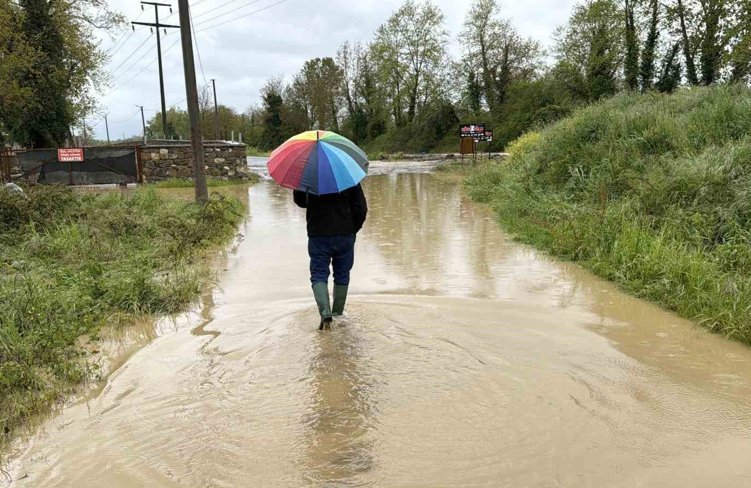 Düzce'de sağanak köprü yıktı, tarım arazileri ve evleri su bastı
