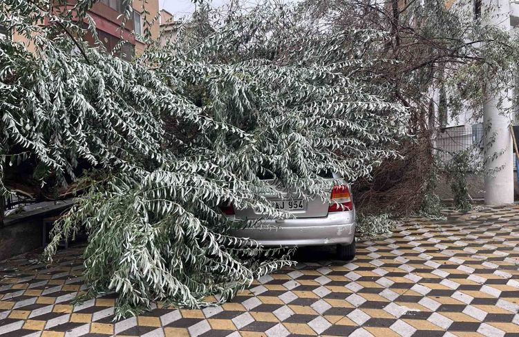 Niğde'de devrilen ağaç park halindeki aracın üzerine düştü