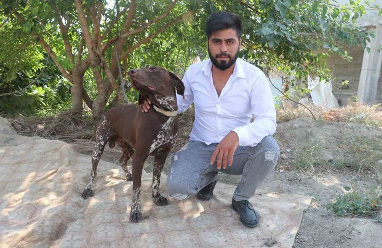 Adana'da köpeğe sopayla şiddet güvenlik kamerasında