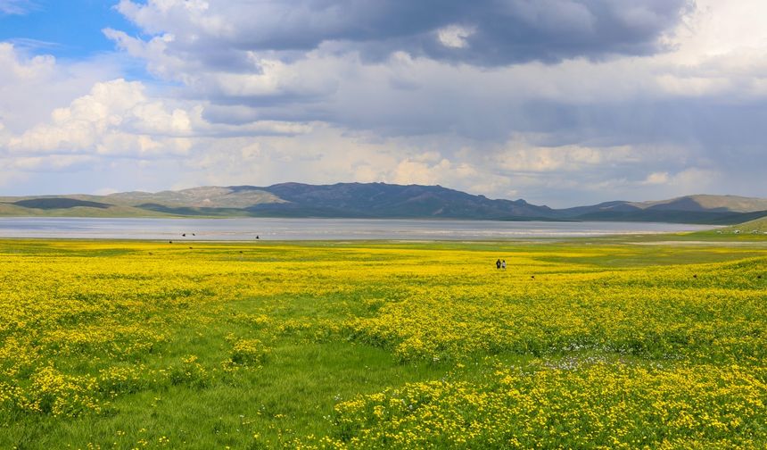 Çevresi sarı çiçeklerle renklenen Van'daki Keşiş Gölü, ziyaretçilerini ağırlıyor