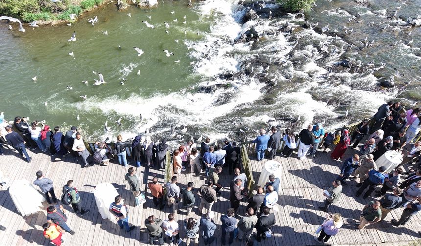 Van'da '12. Uluslararası İnci Kefali Göçü Kültür ve Sanat Festivali' başladı