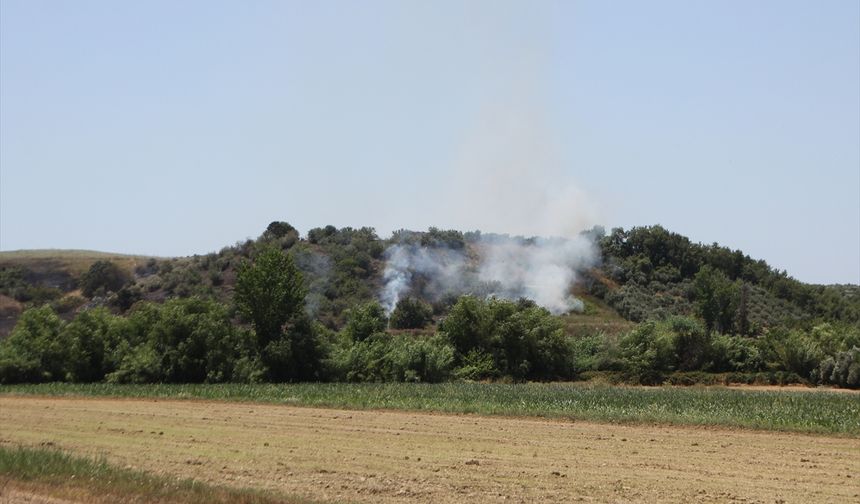 Antalya'da çıkan anız ve zeytinlik yangını söndürüldü