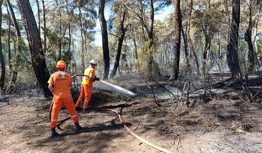 Antalya'nın Aksu ve Kumluca ilçelerinde orman yangını çıktı