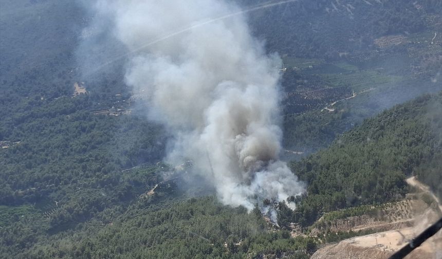 Antalya'nın Finike ilçesinde orman yangını çıktı