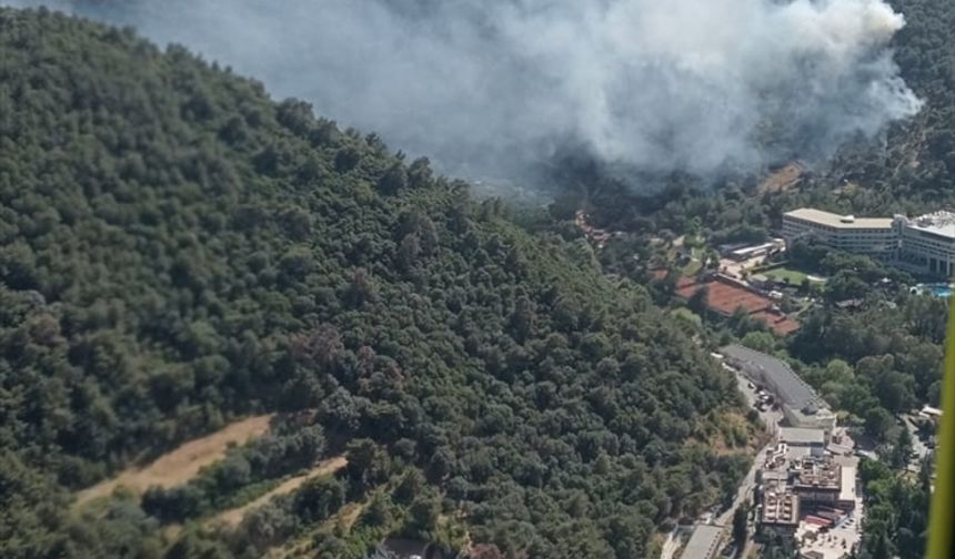 GÜNCELLEME - İzmir'in 2 ilçesinde çıkan yangınlar kontrol altına alındı