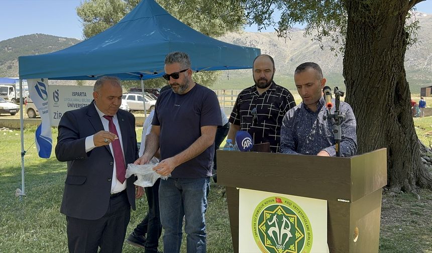 Isparta'da küçükbaş hayvan yetiştiricilerine çoban köpeği dağıtıldı