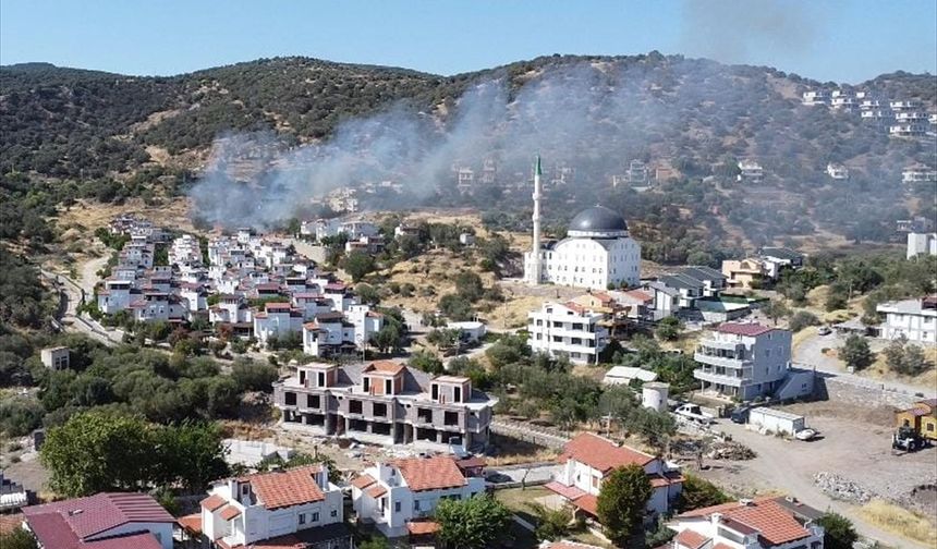 İzmir'in Dikili ilçesinde çıkan yangına müdahale ediliyor