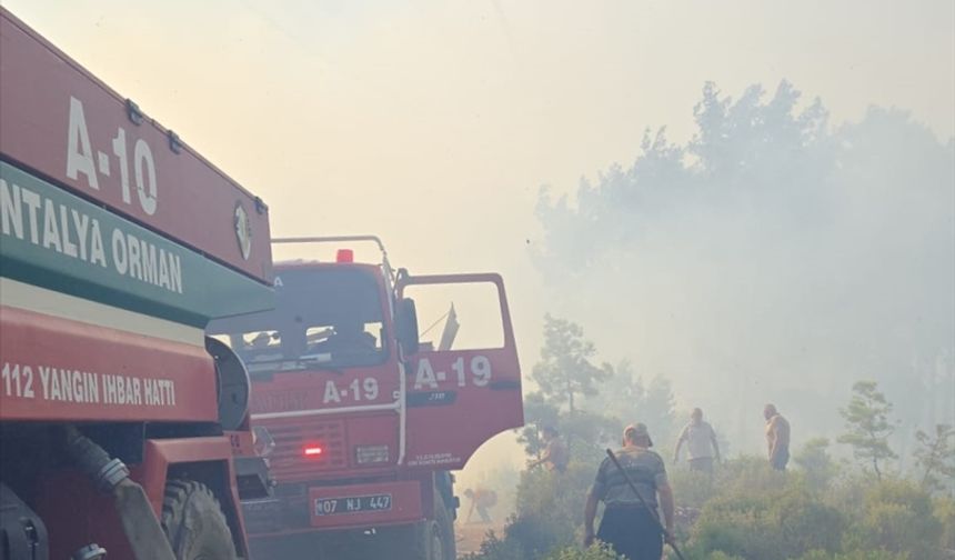 Serik ve Aksu'da çıkan yangınlar söndürüldü