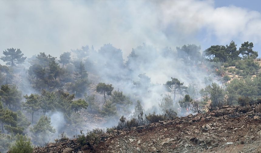 Adıyaman'da ormanlık alanda çıkan yangın kontrol altına alındı