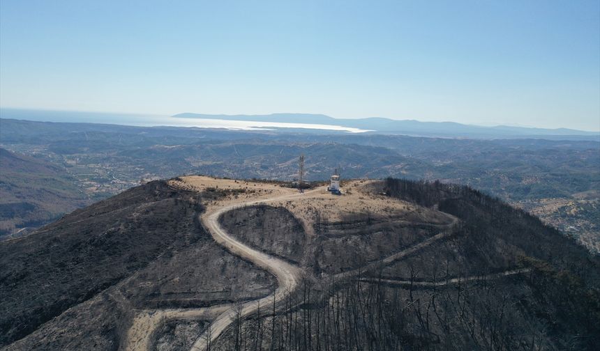 Ateş çemberinde kalan yangın kule sorumlusu canı pahasına görev yerinden ayrılmadı