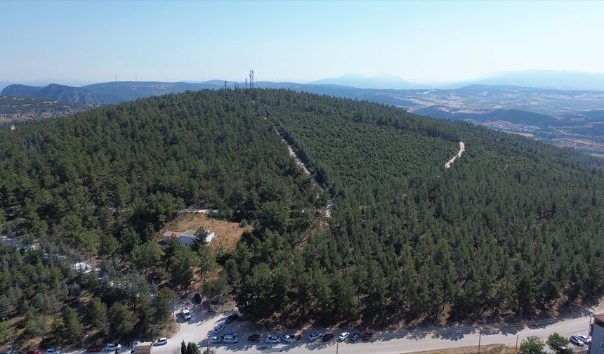 Bilecik'te Kent Ormanı'nda 20 ton çöp toplandı
