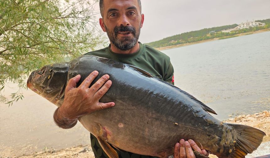 Bilecik'teki Pelitözü Göleti'nde oltayla 28 kilo 600 gram sazan avlandı