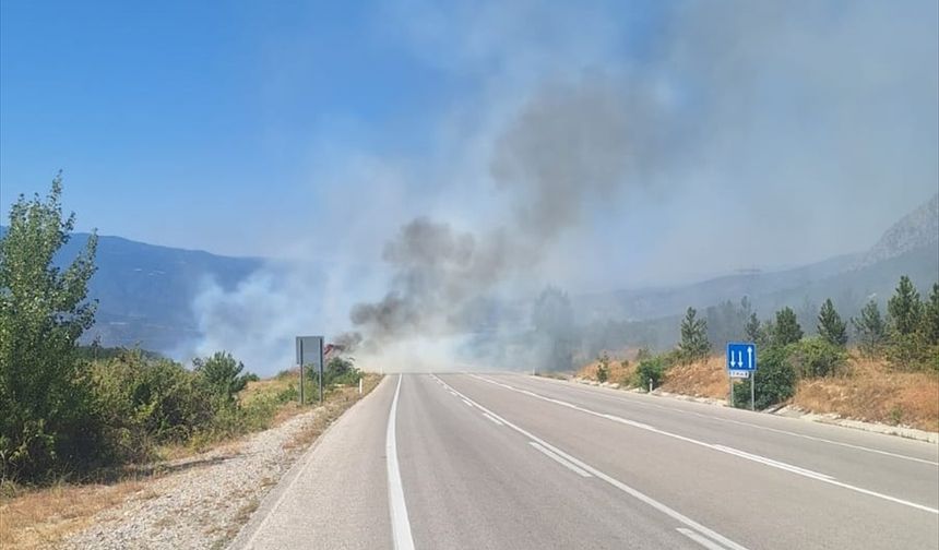 Çorum'da ormanlık alanda çıkan yangın büyümeden söndürüldü
