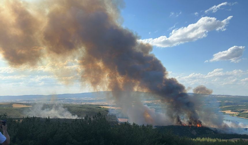 GÜNCELLEME 2 - Tekirdağ'da orman yangınına havadan ve karadan müdahale ediliyor