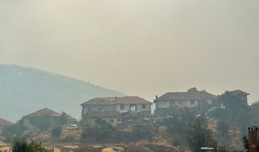 GÜNCELLEME 2 - Uşak'ta çıkan orman yangınına müdahale ediliyor