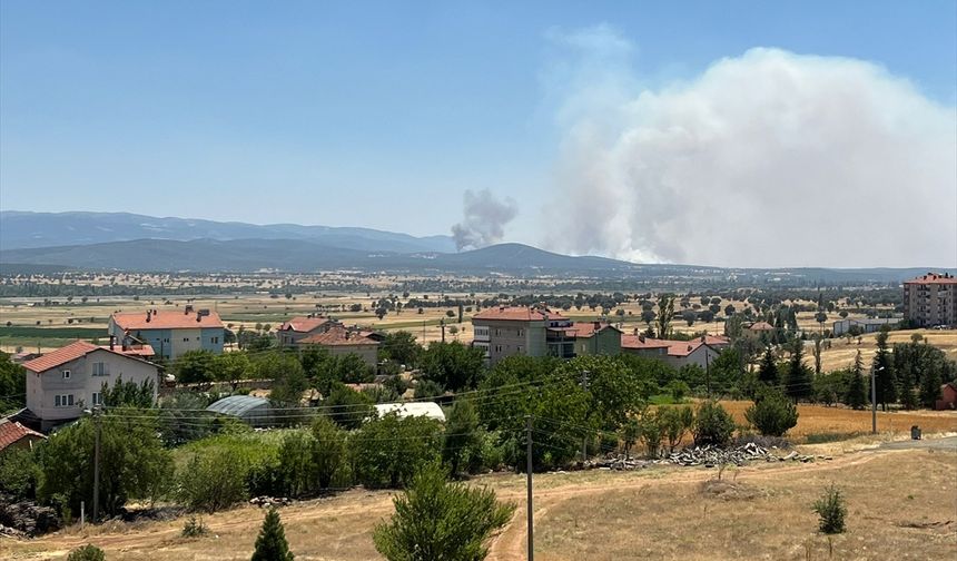GÜNCELLEME - Uşak'ta meşelik alanda çıkan yangına müdahale ediliyor