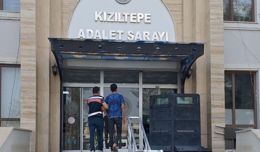 Mardin'de anız yaktığı iddiasıyla bir kişi gözaltına alındı