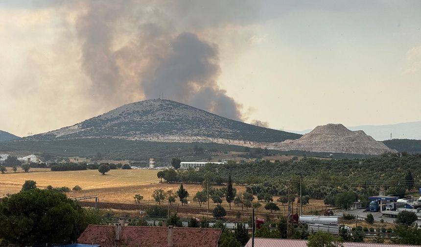 Muğla'da çıkan orman yangınına müdahale ediliyor