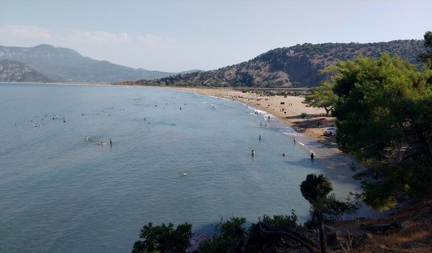 Muğla'daki İztuzu Sahili'nde 350 caretta caretta yavrusu denizle buluştu