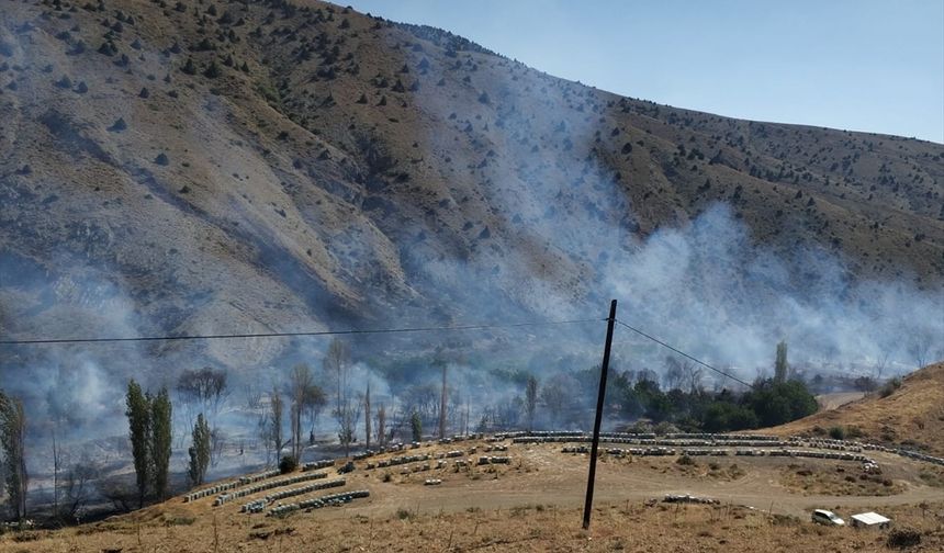 Niğde'de ağaçlık alanda çıkan yangın kontrol altına alındı