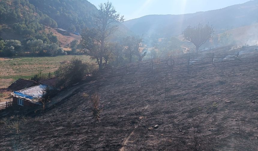 Tokat'ta çıkan yangında 10 dönümlük alan zarar gördü