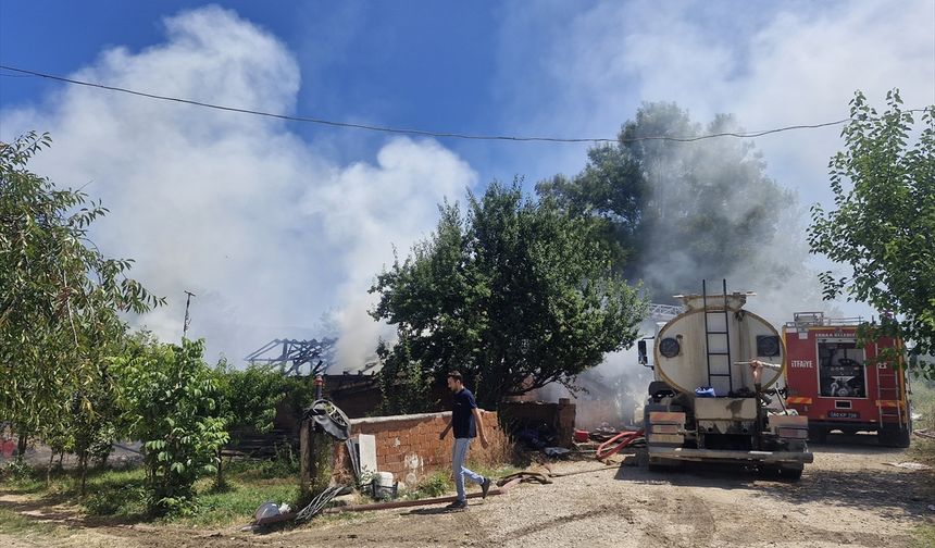 Tokat'ta çıkan yangında 7 büyükbaş hayvan öldü