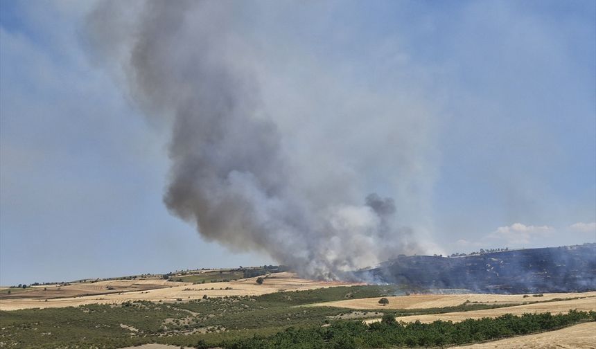 Tokat'ta çıkan yangında yaklaşık 250 dekar buğday ekili alan yandı
