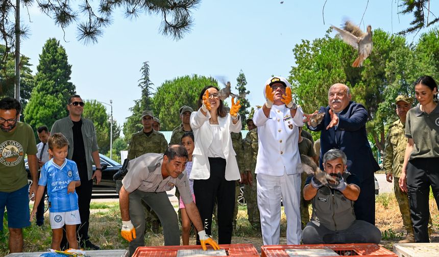Yalova'da 300 keklik doğaya salındı